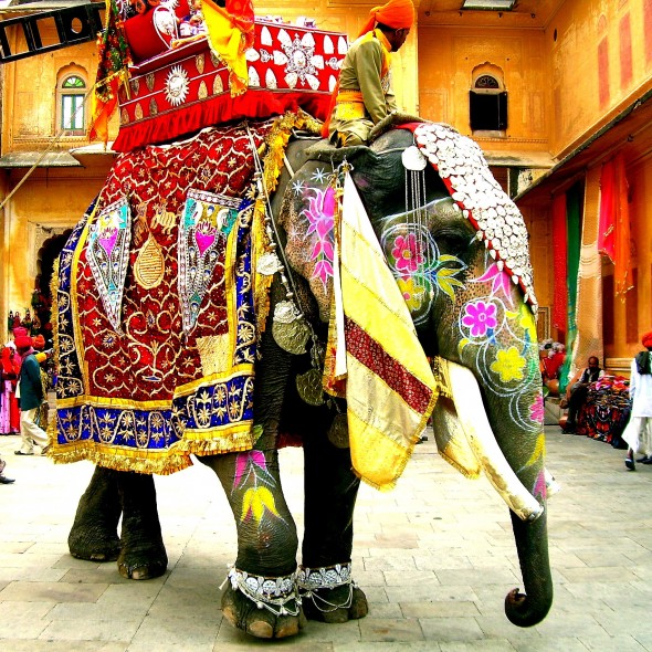 india-color-pallets23