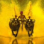 india-color-pallets7