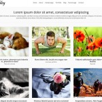 free-blog-wordpress-themes20