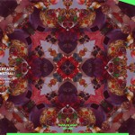 colorfull-web-design16