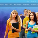 colorfull-web-design4