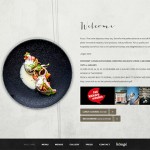 web-design-from-belgium18