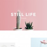 web-design-from-belgium6