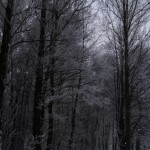 step-002