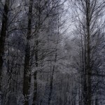 step-004b