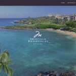 hotel-tour-web-design4