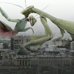 evgeny-kazantsev-art11