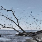 evgeny-kazantsev-art7
