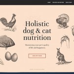 e-commerce-web-design2