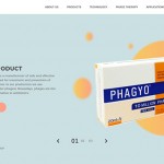 e-commerce-web-design9